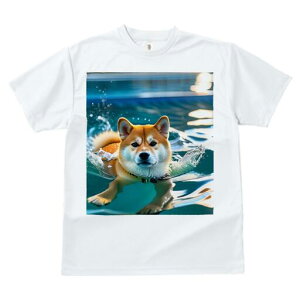 Č TVc  j[NfUCfB[X t@  t vg lJWA 킢 lԗp Mtg I ҏ΍  Č v[