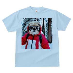 V[Y[ TVc  j[NfUCfB[X t@  t vg lJWA 킢 lԗp Mtg I ҏ΍ XL[EFA V[Y[ R ~ XL[S[O