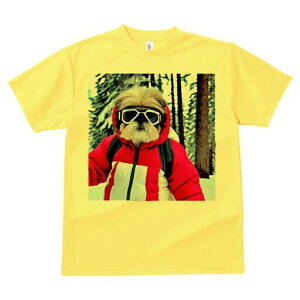 V[Y[ TVc  j[NfUCfB[X t@  t vg lJWA 킢 lԗp Mtg I ҏ΍ XL[EFA V[Y[ R ~ XL[S[O