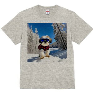 V[Y[ TVc  j[NfUCfB[X t@  t vg lJWA 킢 lԗp Mtg I ҏ΍ XL[ V[Y[ ~ R XL[EFA