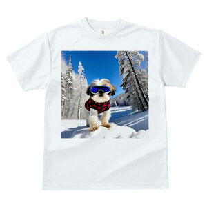 V[Y[ TVc  j[NfUCfB[X t@  t vg lJWA 킢 lԗp Mtg I ҏ΍ XL[ V[Y[ ~ R XL[EFA