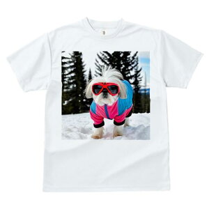 V[Y[ TVc  j[NfUCfB[X t@  t vg lJWA 킢 lԗp Mtg I ҏ΍  V[Y[ XL[EFA S[O ~