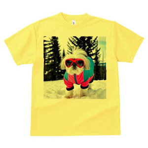 V[Y[ TVc  j[NfUCfB[X t@  t vg lJWA 킢 lԗp Mtg I ҏ΍  V[Y[ XL[EFA S[O ~