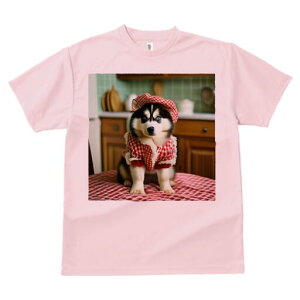 VxAnXL[ TVc  j[NfUCfB[X t@  t vg lJWA 킢 lԗp Mtg I ҏ΍ Lb` VxAnXL[ Xq 