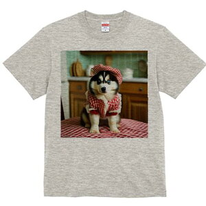 VxAnXL[ TVc  j[NfUCfB[X t@  t vg lJWA 킢 lԗp Mtg I ҏ΍ Lb` VxAnXL[ Xq 