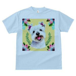 EGXgnChzCgeA TVc  j[NfUCY LbY t@  t vg lJWA 킢 lԗp Mtg I ҏ΍  EGXgnC