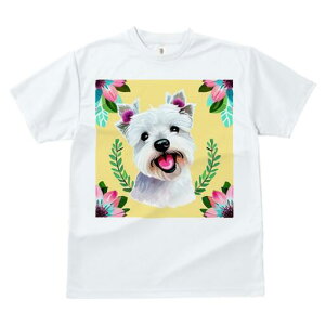 EGXgnChzCgeA TVc  j[NfUCfB[X t@  t vg lJWA 킢 lԗp Mtg I ҏ΍  EGXgnCh