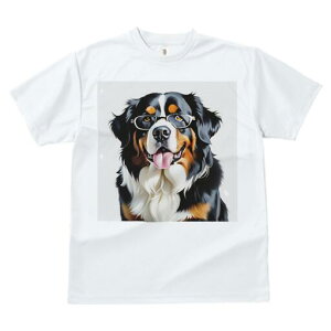 o[j[Y}EehbO TVc  j[NfUCfB[X t@  t vg lJWA 킢 lԗp Mtg I ҏ΍ Kl o[j[Y}Ee