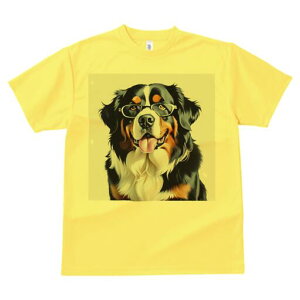 o[j[Y}EehbO TVc  j[NfUCY LbY t@  t vg lJWA 킢 lԗp Mtg I ҏ΍ Kl o[j[Y}E