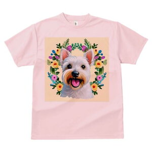 EGXgnChzCgeA TVc  j[NfUCfB[X t@  t vg lJWA 킢 lԗp Mtg I ҏ΍  EGXgnCh