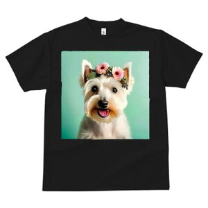 EGXgnChzCgeA TVc  j[NfUCY LbY t@  t vg lJWA 킢 lԗp Mtg I ҏ΍ Ԋ EGXgnC