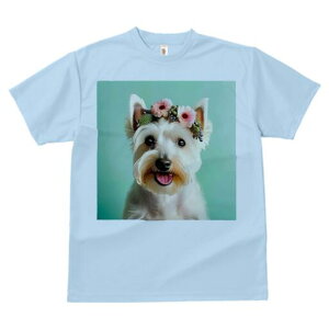 EGXgnChzCgeA TVc  j[NfUCfB[X t@  t vg lJWA 킢 lԗp Mtg I ҏ΍ Ԋ EGXgnC