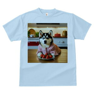 nXL[ TVc  j[NfUCfB[X t@  t vg lJWA 킢 lԗp Mtg I ҏ΍ C`S nXL[ Lb` e[u `FbN