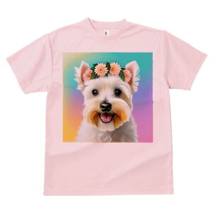 EGXgnChzCgeA TVc  j[NfUCfB[X t@  t vg lJWA 킢 lԗp Mtg I ҏ΍ Ԋ EGXgnC