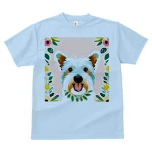 EGXgnChzCgeA TVc  j[NfUCY LbY t@  t vg lJWA 킢 lԗp Mtg I ҏ΍  EGXgnC