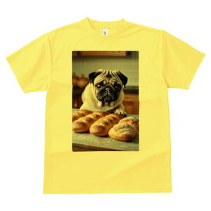 pO TVc  j[NfUCfB[X t@  t vg lJWA 킢 lԗp Mtg I ҏ΍ p pO Ăَq Lb`