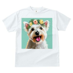 EGXgnChzCgeA TVc  j[NfUCfB[X t@  t vg lJWA 킢 lԗp Mtg I ҏ΍  EGXgnCh