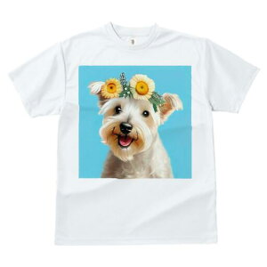 EGXgnChzCgeA TVc  j[NfUCfB[X t@  t vg lJWA 킢 lԗp Mtg I ҏ΍  EGXgnCh