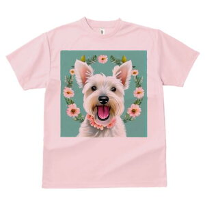 EGXgnChzCgeA TVc  j[NfUCfB[X t@  t vg lJWA 킢 lԗp Mtg I ҏ΍  EGXgnCh