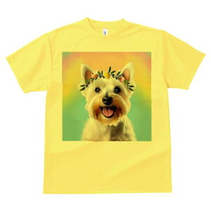 EGXgnChzCgeA TVc  j[NfUCfB[X t@  t vg lJWA 킢 lԗp Mtg I ҏ΍ ԗ EGXgnC