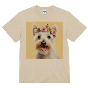 EGXgnChzCgeA TVc  j[NfUCfB[X t@  t vg lJWA 킢 lԗp Mtg I ҏ΍  EGXgnCh