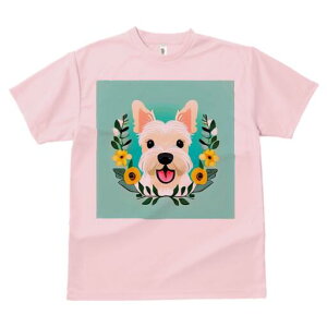 EGXgnChzCgeA TVc  j[NfUCfB[X t@  t vg lJWA 킢 lԗp Mtg I ҏ΍  EGXgnCh