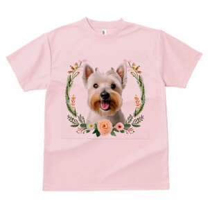 EGXgnChzCgeA TVc  j[NfUCfB[X t@  t vg lJWA 킢 lԗp Mtg I ҏ΍  EGXgnCh