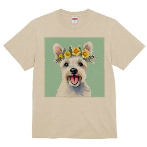 EGXgnChzCgeA TVc  j[NfUCfB[X t@  t vg lJWA 킢 lԗp Mtg I ҏ΍  EGXgnCh