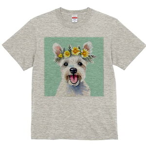 EGXgnChzCgeA TVc  j[NfUCY LbY t@  t vg lJWA 킢 lԗp Mtg I ҏ΍  EGXgnC