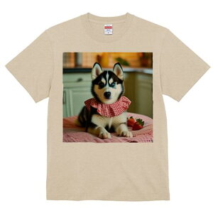 nXL[ TVc  j[NfUCfB[X t@  t vg lJWA 킢 lԗp Mtg I ҏ΍ C`S nXL[ ԂMK`FbN