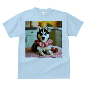 nXL[ TVc  j[NfUCfB[X t@  t vg lJWA 킢 lԗp Mtg I ҏ΍ C`S nXL[ ԂMK`FbN