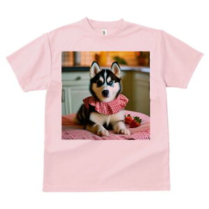 nXL[ TVc  j[NfUCY LbY t@  t vg lJWA 킢 lԗp Mtg I ҏ΍ C`S nXL[ ԂMK`FbN