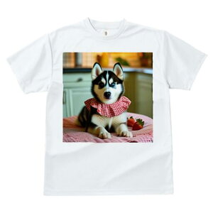 nXL[ TVc  j[NfUCfB[X t@  t vg lJWA 킢 lԗp Mtg I ҏ΍ C`S nXL[ ԂMK`FbN