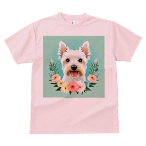 EGXgnChzCgeA TVc  j[NfUCfB[X t@  t vg lJWA 킢 lԗp Mtg I ҏ΍  EGXgnCh