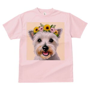 EGXgnChzCgeA TVc  j[NfUCfB[X t@  t vg lJWA 킢 lԗp Mtg I ҏ΍  EGXgnCh