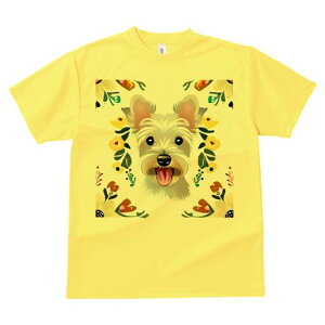 EGXgnChzCgeA TVc  j[NfUCfB[X t@  t vg lJWA 킢 lԗp Mtg I ҏ΍  EGXgnCh