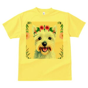 EGXgnChzCgeA TVc  j[NfUCfB[X t@  t vg lJWA 킢 lԗp Mtg I ҏ΍  EGXgnCh