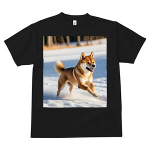 Č TVc  j[NfUCfB[X t@  t vg lJWA 킢 lԗp Mtg I ҏ΍  Č ~ R i