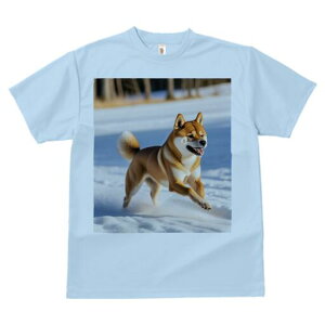 Č TVc  j[NfUCfB[X t@  t vg lJWA 킢 lԗp Mtg I ҏ΍  Č ~ R i