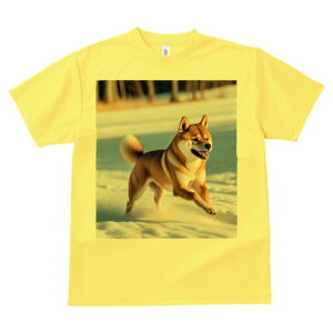 Č TVc  j[NfUCfB[X t@  t vg lJWA 킢 lԗp Mtg I ҏ΍  Č ~ R i