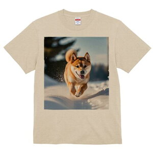 Č TVc  j[NfUCfB[X t@  t vg lJWA 킢 lԗp Mtg I ҏ΍  Č ~ AEghA R