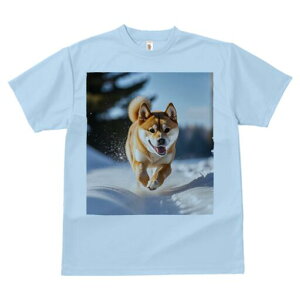 Č TVc  j[NfUCfB[X t@  t vg lJWA 킢 lԗp Mtg I ҏ΍  Č ~ AEghA R