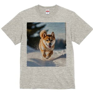 Č TVc  j[NfUCfB[X t@  t vg lJWA 킢 lԗp Mtg I ҏ΍  Č ~ AEghA R