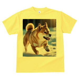 Č TVc  j[NfUCfB[X t@  t vg lJWA 킢 lԗp Mtg I ҏ΍  Č ~ AEghA