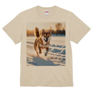 Č TVc  j[NfUCfB[X t@  t vg lJWA 킢 lԗp Mtg I ҏ΍  Č ~ z 