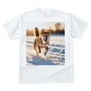 Č TVc  j[NfUCfB[X t@  t vg lJWA 킢 lԗp Mtg I ҏ΍  Č ~ z 