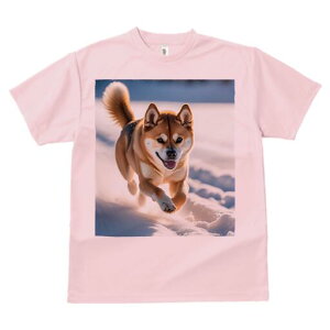 Č TVc  j[NfUCfB[X t@  t vg lJWA 킢 lԗp Mtg I ҏ΍  Č