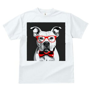 AJsbgueA TVc  j[NfUCY LbY t@  t vg lJWA 킢 lԗp Mtg I ҏ΍ Kl AJsbg