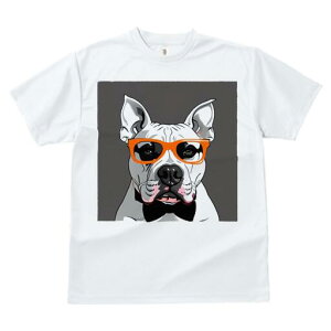 AJsbgueA TVc  j[NfUCfB[X t@  t vg lJWA 킢 lԗp Mtg I ҏ΍ Kl AJsbgu