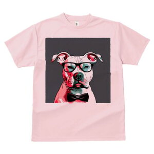 AJsbgueA TVc  j[NfUCfB[X t@  t vg lJWA 킢 lԗp Mtg I ҏ΍ Kl AJsbgu